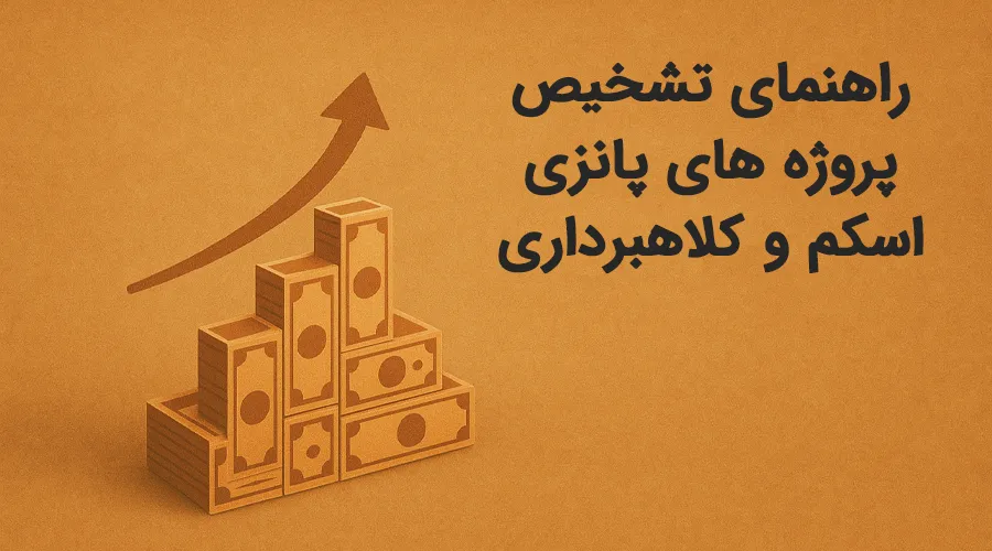 ponzi project